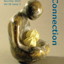 Inside the Issue: Nov/Dec 2015