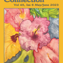 Inside the Issue: May/June 2023